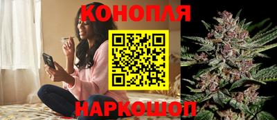 молекула духа Нальчик
