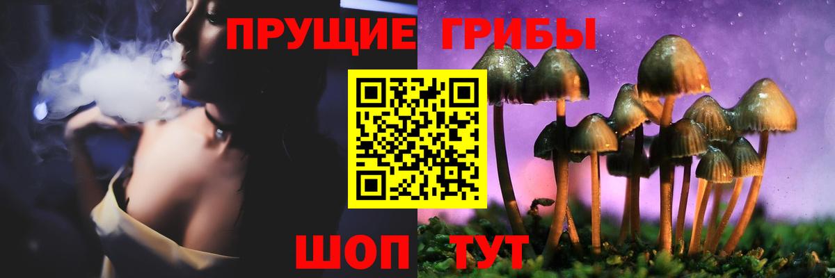 Галлюциногенные грибы MAGIC MUSHROOMS  Вход с VPN  Псилоцибиновые грибы Cubensis  Сланцы 